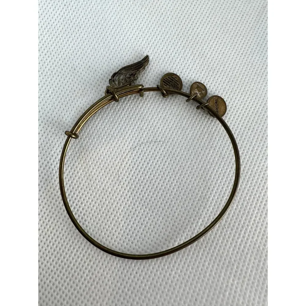 Alex and Ani great preowned